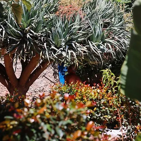 アパート Old Fisherman's Corner 14 - Centro Old Town アルブフェイラ