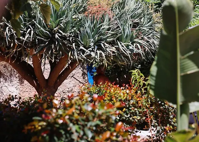 Apartament Old Fisherman's Corner 14 - Centro Old Town Albufeira